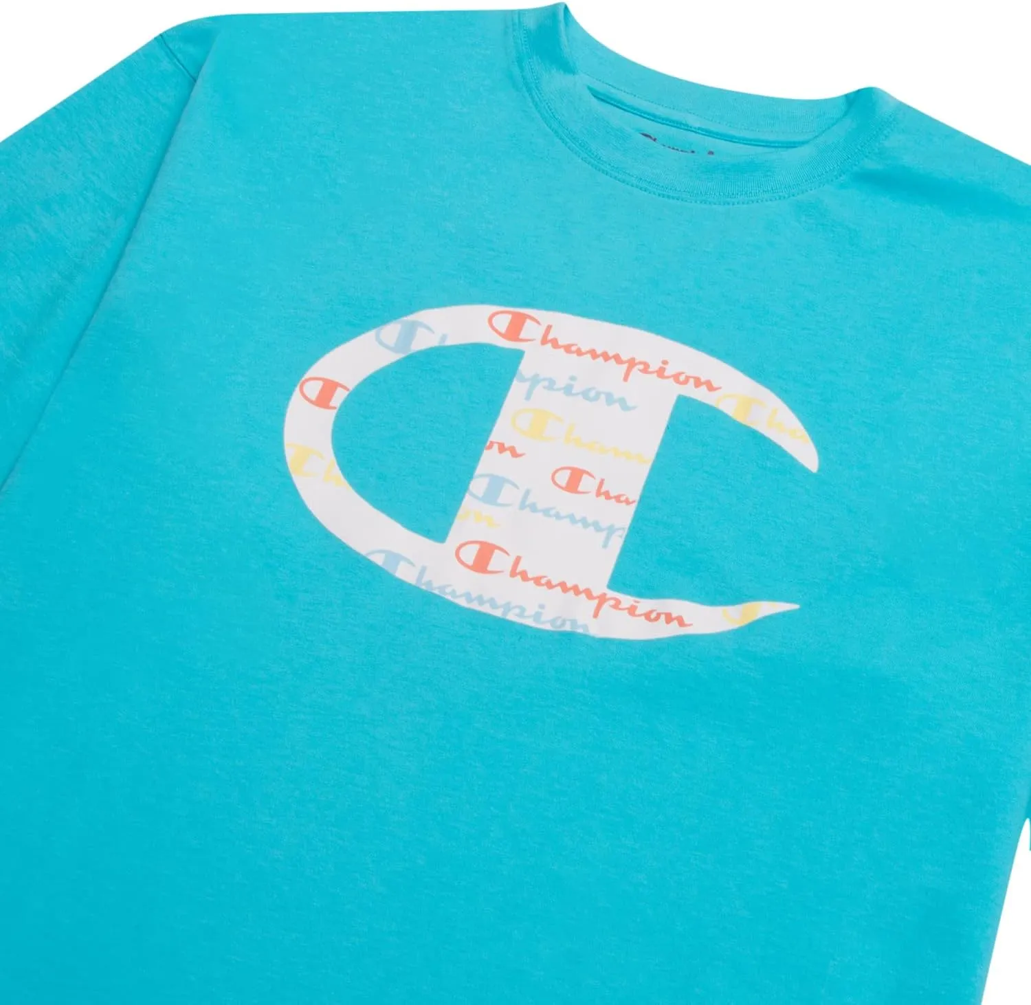 Champion Big and Tall T Shirts for Men  Crewneck Mens Big and Tall Graphic Tee