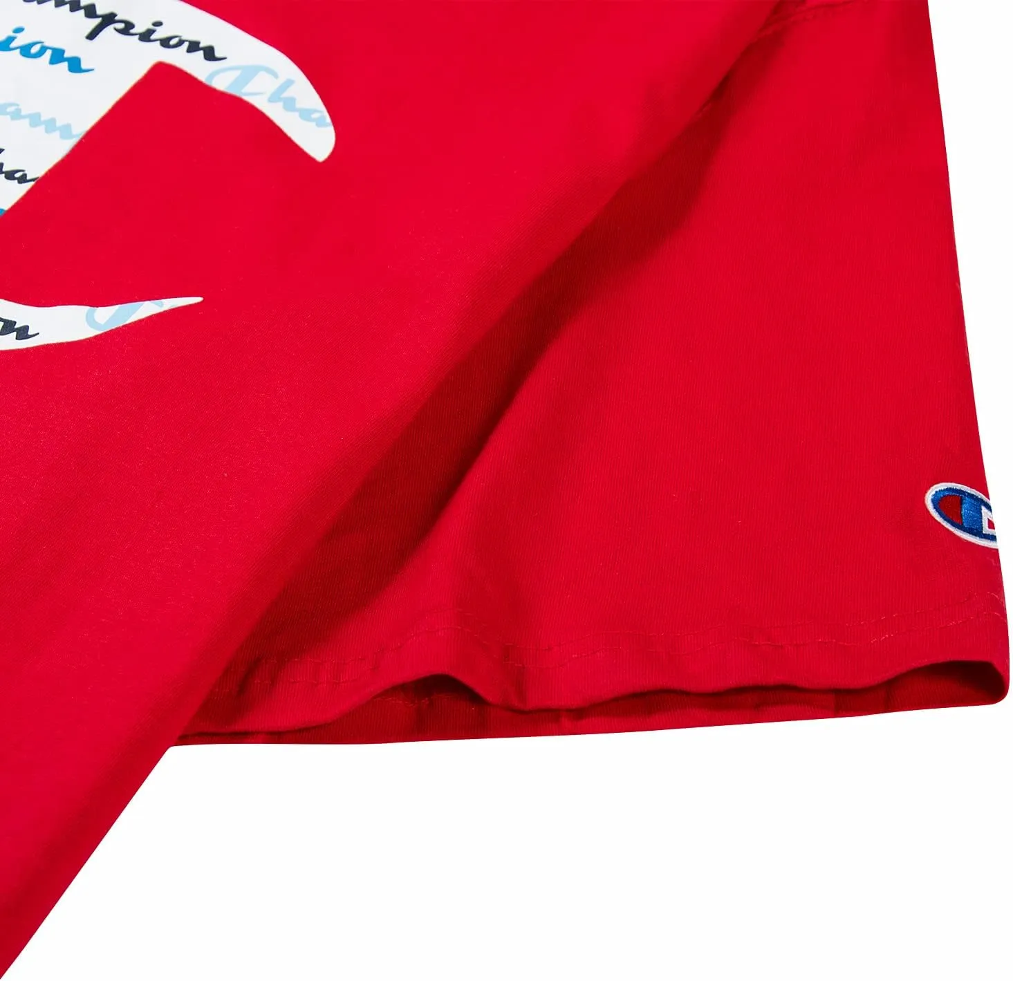 Champion Big and Tall T Shirts for Men  Crewneck Mens Big and Tall Graphic Tee